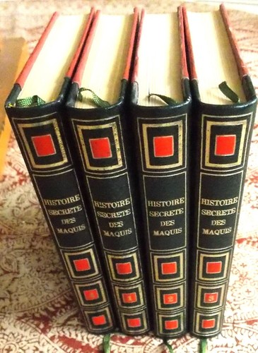 Histoire secrete des maquis - histoire,