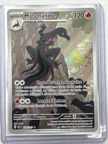 Carte pokemon malamandre - carte,