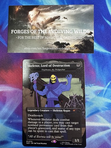 Skeletor lord destruction - lord,